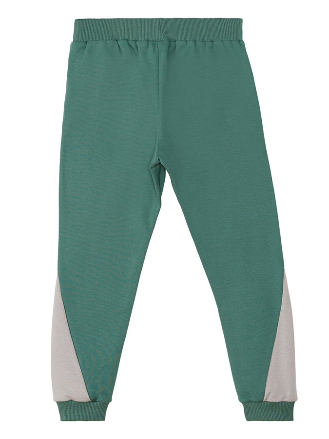 Stegosaurus Boy T-shirt&Pants Set - 9