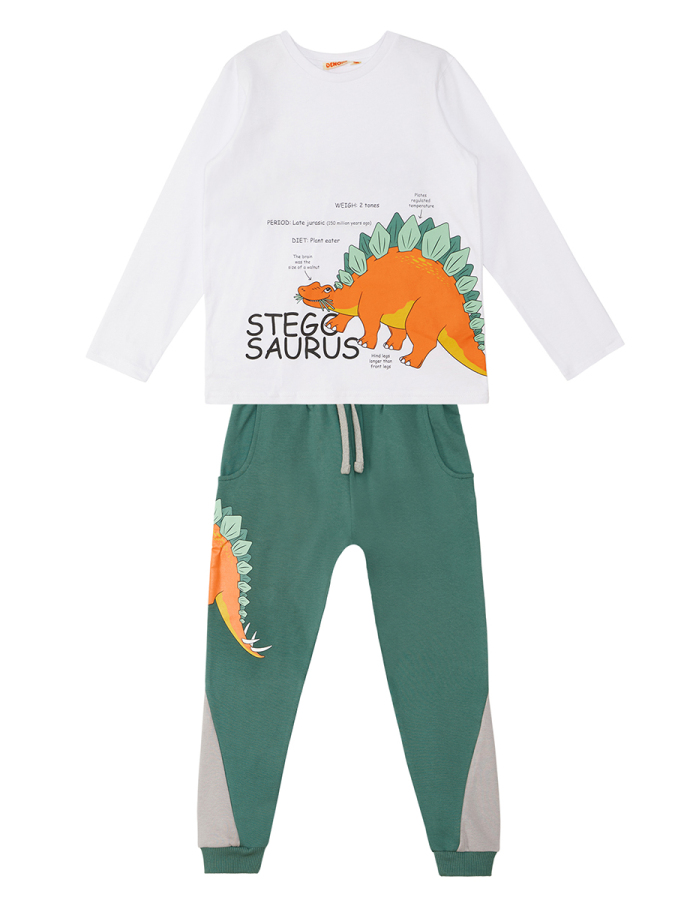 Stegosaurus Erkek Çocuk Uzun Kollu T-shirt Pantolon Takım - 4
