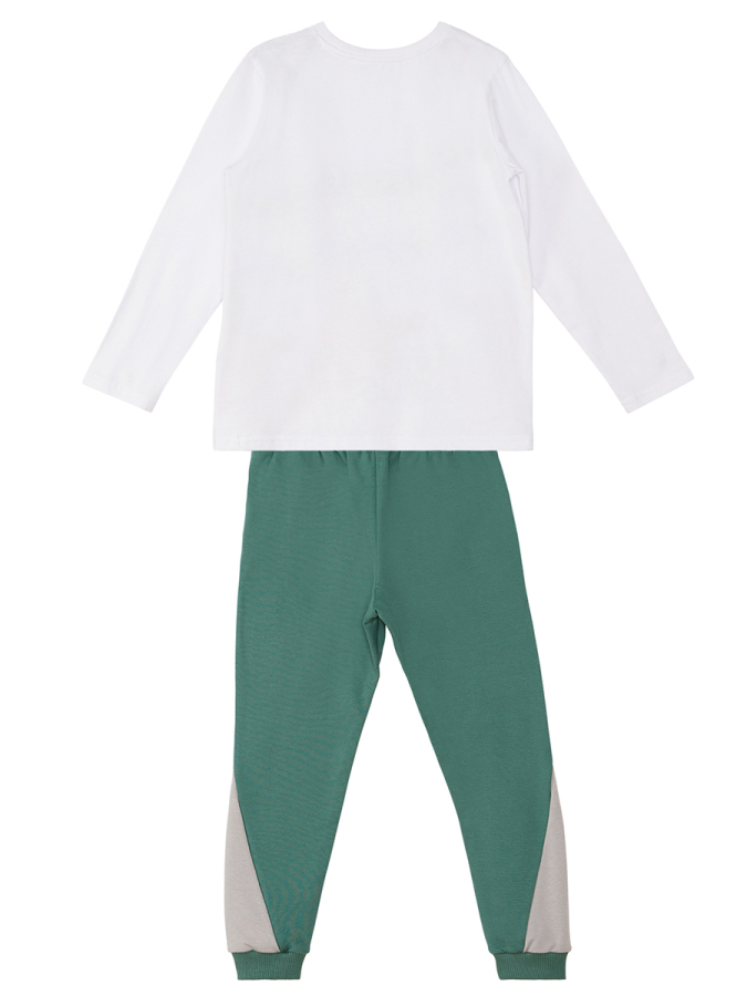 Stegosaurus Erkek Çocuk Uzun Kollu T-shirt Pantolon Takım - 5