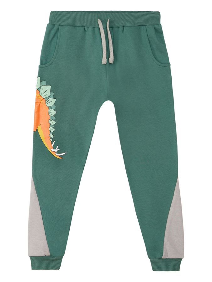 Stegosaurus Erkek Çocuk Uzun Kollu T-shirt Pantolon Takım - 6
