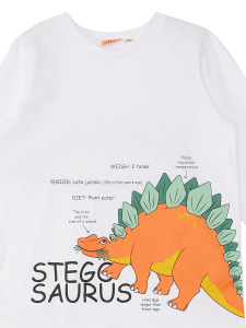 Stegosaurus Erkek Çocuk Uzun Kollu T-shirt Pantolon Takım - 8