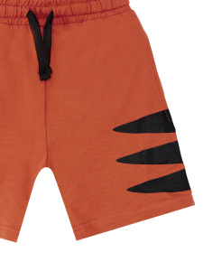 Super Tiger Boy T-shirt&Shorts Set - 2