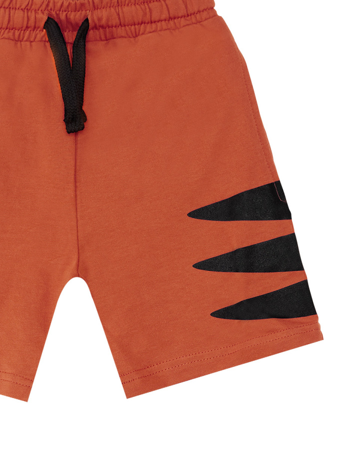 Super Tiger Boy T-shirt&Shorts Set - 2