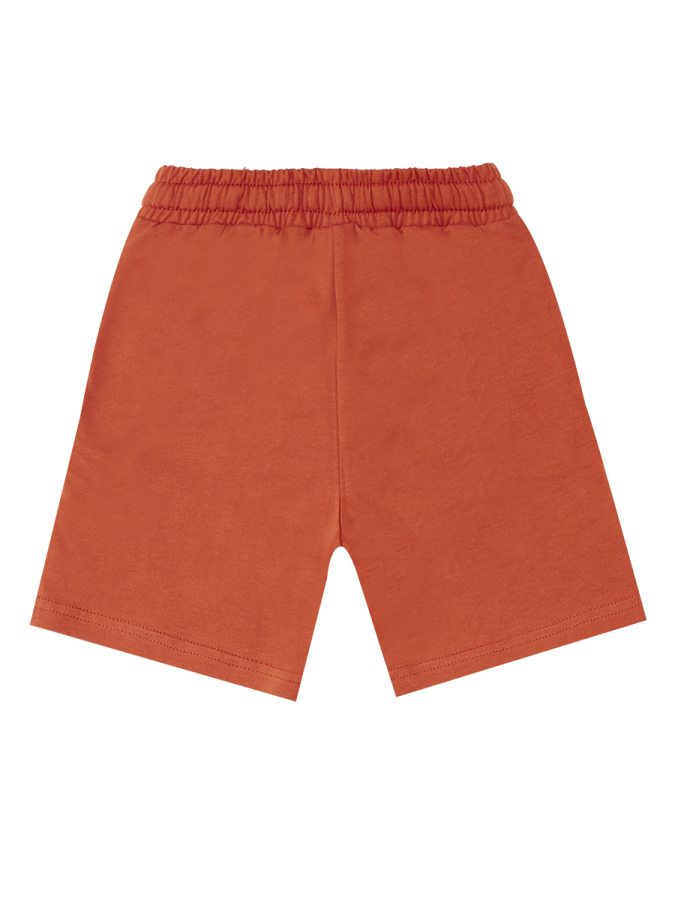 Super Tiger Boy T-shirt&Shorts Set - 9