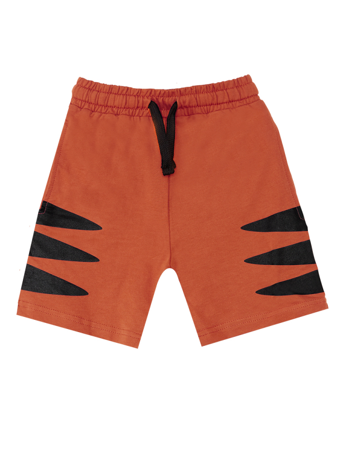 Super Tiger Boy T-shirt&Shorts Set - 6