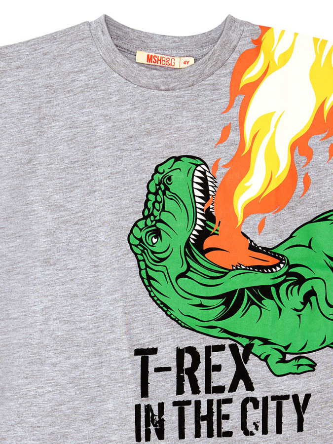 T-Rex Alev Erkek Çocuk Kolsuz Yazlık T-Shirt Şort Takım - 8