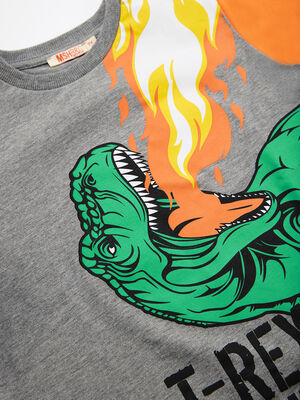 T-rex Dino Boy T-shirt&Pants Set