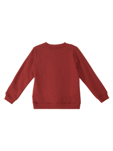 Tiger Boy Burgundy Tracksuit - 6