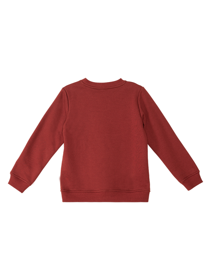 Tiger Boy Burgundy Tracksuit - 6