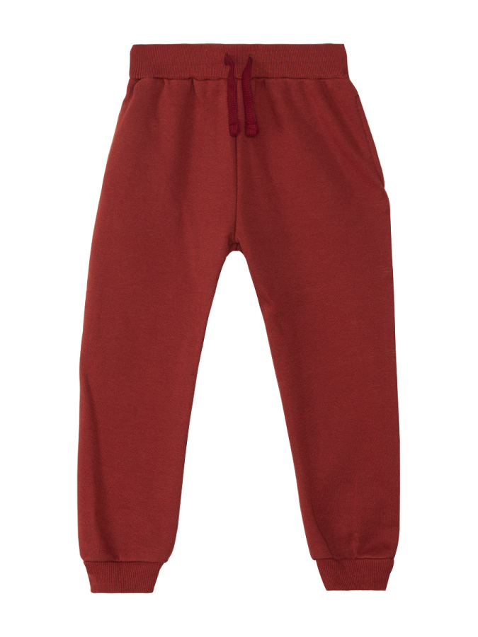 Tiger Boy Burgundy Tracksuit - 7