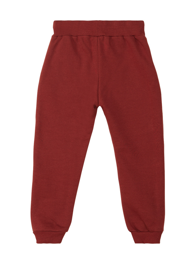 Tiger Boy Burgundy Tracksuit - 8