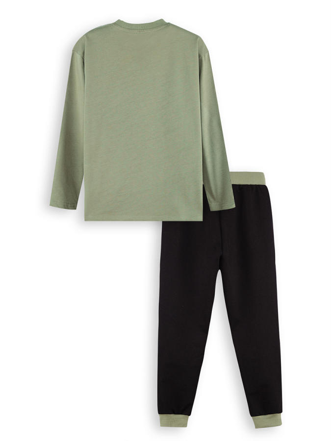 Tiger Boy Khaki T-shirt Pants Set - 4