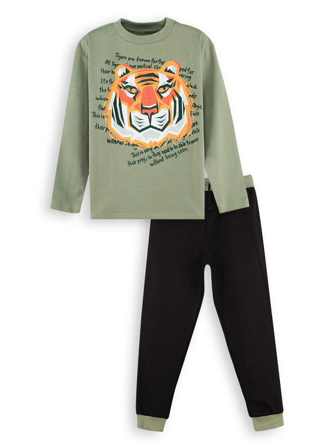 Tiger Boy Khaki T-shirt Pants Set - 3