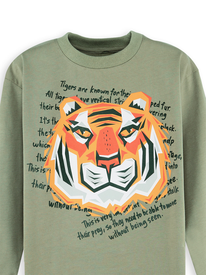 Tiger Boy Khaki T-shirt Pants Set - 5
