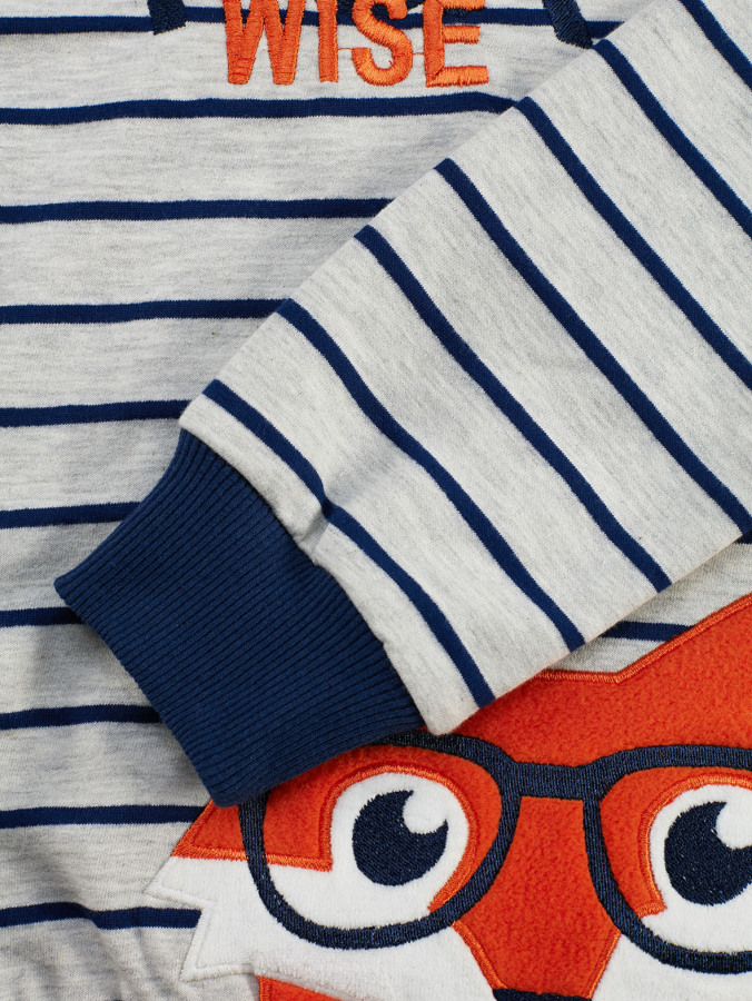 Tilki Çizgili Erkek Çocuk Uzun Kollu Sweatshirt - 6