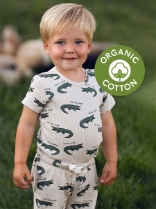 Timsah Kısa Kollu Body Pantolon Set - Antebies