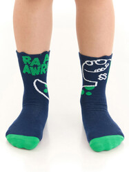 Tırtır Dino Erkek Çocuk 2li Soket Çorap Takım - Thumbnail