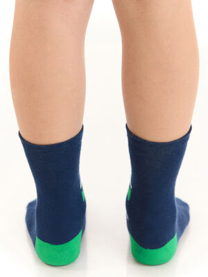 Tırtır Dino Erkek Çocuk 2li Soket Çorap Takım