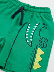 Today Erkek Çocuk T-shirt Şort Takım - 6