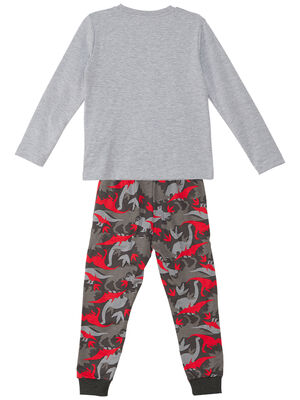 Triceratops Boy T-shirt&Pants Set