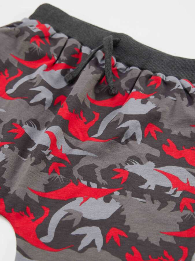 Triceratops Erkek Çocuk T-shirt Kapri Şort Takım - 6