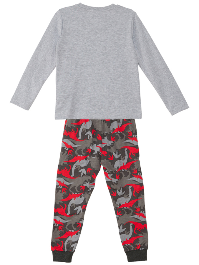 Triceratops Erkek Çocuk T-shirt Pantolon Takım - 4