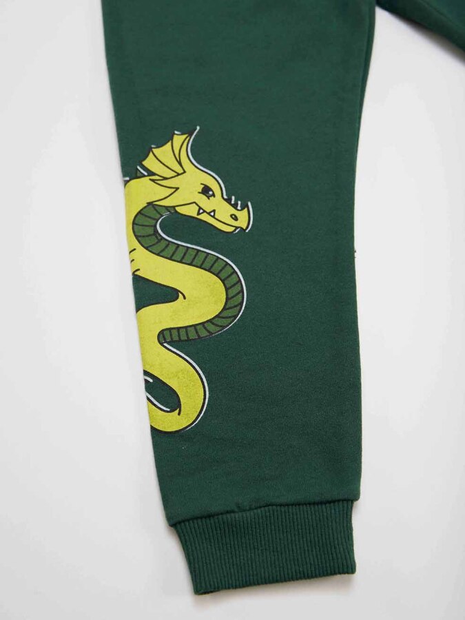 Wild Dragon Boy T-shirt&Pants Set - 6