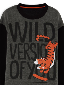 Wild Oversize Erkek Çocuk Gri Eşofman Takım - 5