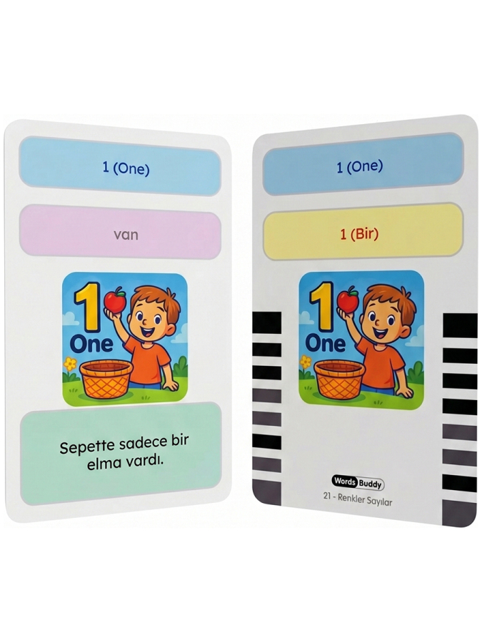 WordsBuddy Çocuklar İçin Türkçe İngilizce Temel Öğrenim Paketi 90 Kart 3'lü Set (Cihaz Hariç) - 5