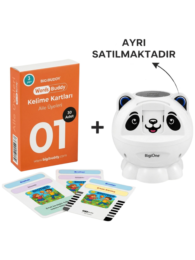 WordsBuddy Türkçe İngilizce Kelime Kartları Besinler ve Mutfak 90 Kart 3’lü Set (BigiOne Cihaz Hariç) - 6