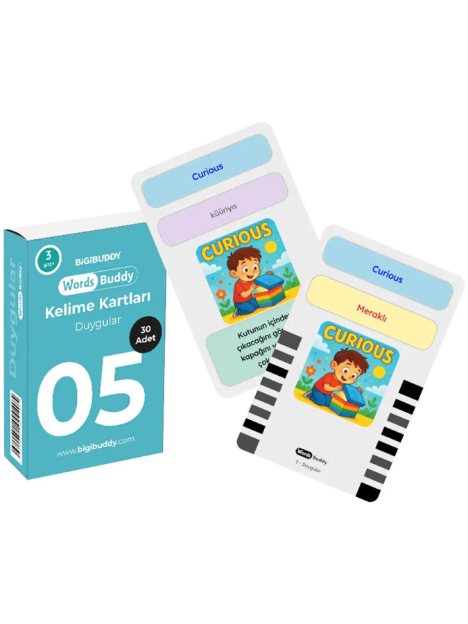 WordsBuddy Türkçe İngilizce Kelime Kartları Kendini İfade Etme 90 Kart 3’lü Set (BigiOne Cihaz Hariç) - 2