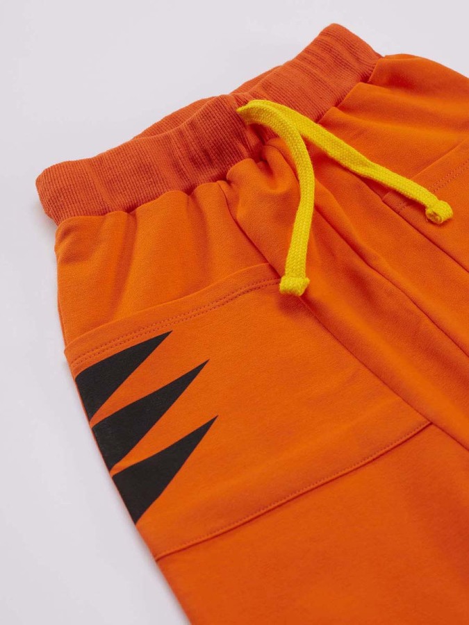 Yoo Tiger Boy T-shirt&Harem Pants Set - 6