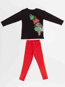 Zebra Girl T-shirt & Leggings Set - 4