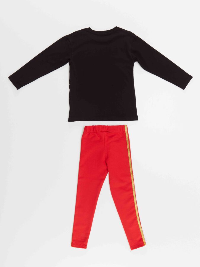 Zebra Girl T-shirt & Leggings Set - 5